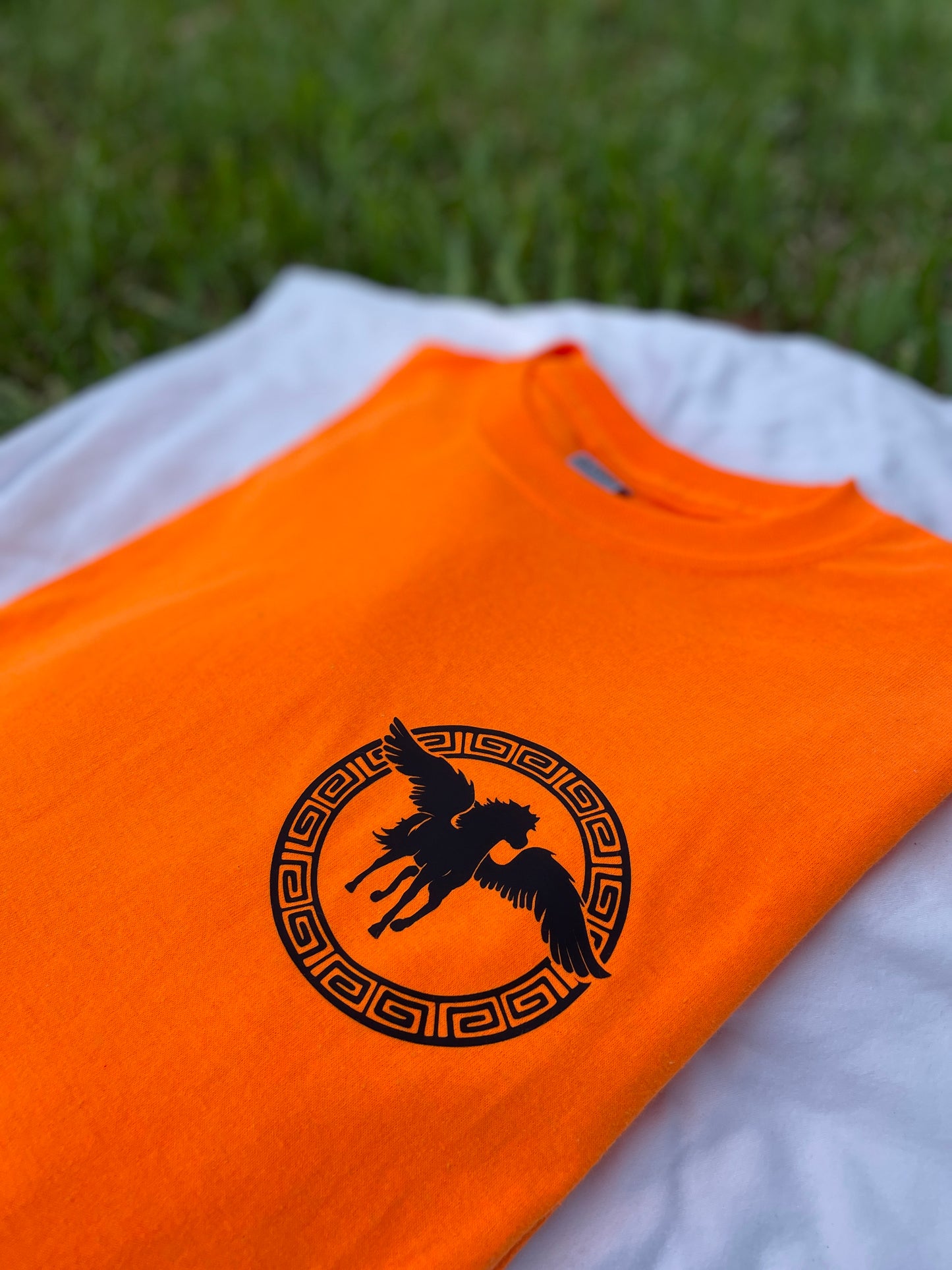Campamento Mestizo CHB - Diseños nuevos y estándar de Pegasus - Elección de camiseta de ajuste clásico o manga larga UNISEX PJO Percy Jackson y los atletas olímpicos Annabeth Chase