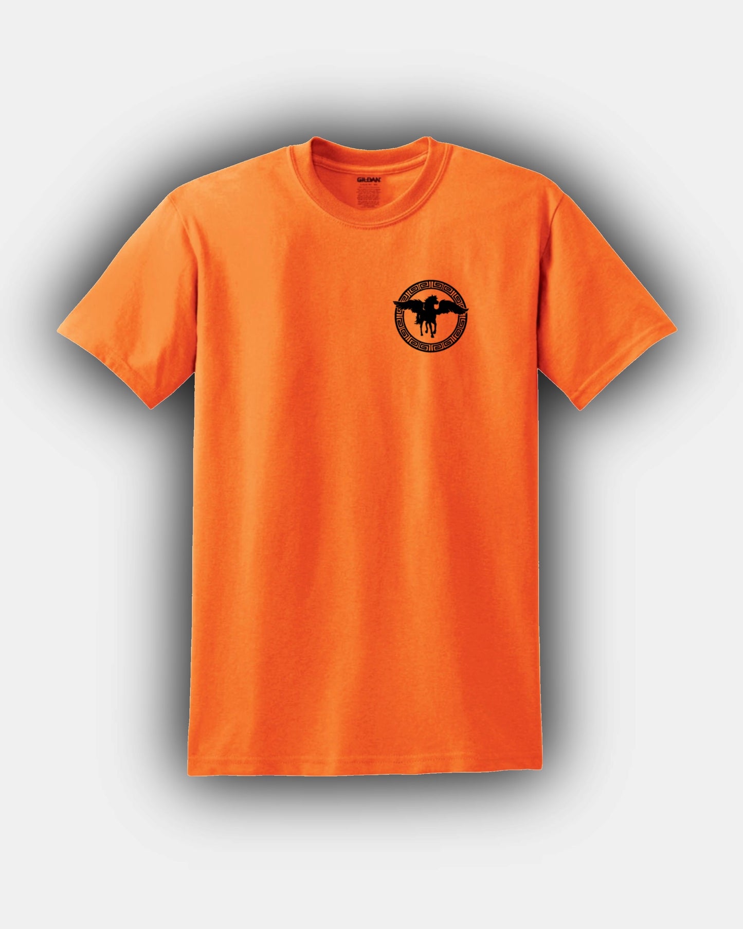 Campamento Mestizo CHB - Diseños nuevos y estándar de Pegasus - Elección de camiseta de ajuste clásico o manga larga UNISEX PJO Percy Jackson y los atletas olímpicos Annabeth Chase