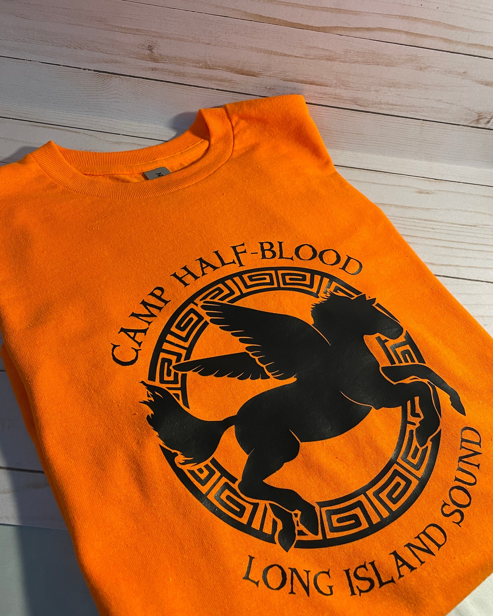 BroiderStudio Camp Half-Blood Percy Jackson Inspired PJO Heroes of Olympus Orange T-Shirt Maglietta Bianca per Uomo Size XL BroiderStudio Camp Half-Blood Percy Jackson Inspired PJO Heroes of Olympus Orange T-Shirt Maglietta Bianca per Uomo Size XL